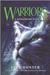 A Dangerous Path (ISBN: 9780007140060)
