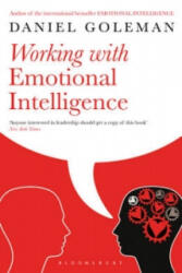 Working with Emotional Intelligence - Daniel Goleman (1999)