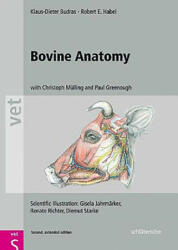 Bovine Anatomy - Klaus Dieter Budras (2011)