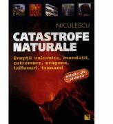 Catastrofe naturale - Valeria Chilese (2011)