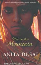 Fire On The Mountain (2001)