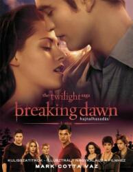 Breakingdawn - Hajnalhasadás 1. rész (2011)