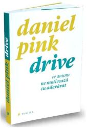 Drive (ISBN: 9789731931890)