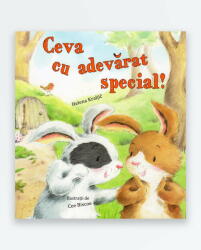 CEVA CU ADEVARAT SPECIAL (ISBN: 9786066835787)
