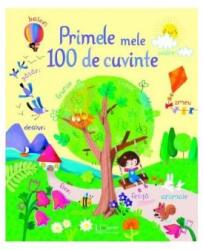 Primele Mele 100 De Cuvinte (ISBN: 9786067044720)