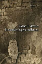 November baglya mellemen (ISBN: 9789639809932)