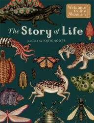 Story of Life: Evolution (ISBN: 9781783706822)
