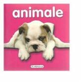Animale (ISBN: 9786067130966)