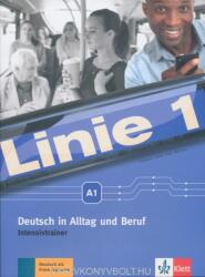 Linie 1 - Deutsch in Alltag und Beruf A1 Intensivtrainer (ISBN: 9783126070591)