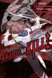 Akame ga Kill! , Vol. 14 (ISBN: 9781975300418)