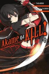 Akame ga Kill! , Vol. 13 - Takahiro (ISBN: 9780316473354)