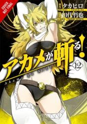 Akame ga KILL! , Vol. 12 - Takahiro (ISBN: 9780316473323)