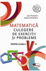 Matematică. Culegere de exerciții și probleme. Clasa a V-a (ISBN: 9786060090120)