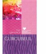 Curcubeul - D. H. Lawrence (ISBN: 9786063325434)