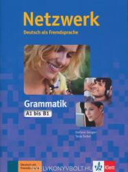 NETZWERK GRAMMATIK A1-B1 (ISBN: 9783126050081)