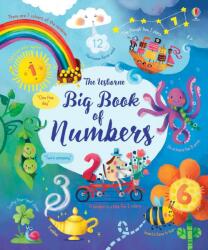 Usborne Big Book of Numbers (ISBN: 9781474937191)