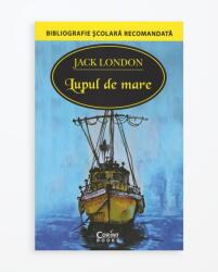 Lupul de mare - Jack London (ISBN: 9786067933765)