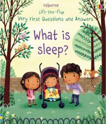 Lift-the-flap Very First Questions and Answers: What is sleep? (ISBN: 9781474940108)