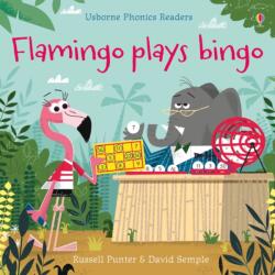 Flamingo Plays Bingo (ISBN: 9781474946575)