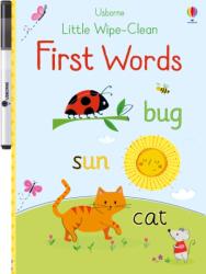 Little Wipe-Clean First Words - Felicity Brooks (ISBN: 9781474951012)