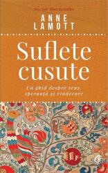 Suflete cusute (ISBN: 9786064401076)