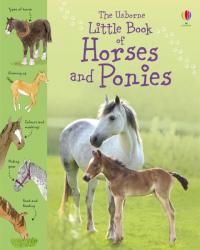 Little Book of Horses and Ponies - Sarah Kahn (ISBN: 9781409508694)