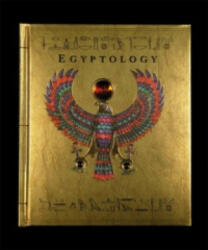 Egyptology - Wayne Anderson (ISBN: 9781840118520)