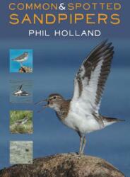 Common & Spotted Sandpipers (ISBN: 9781849953610)