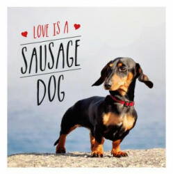 Love is a Sausage Dog - Charlie Ellis (ISBN: 9781849539876)