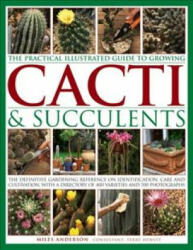 Practical Illustrated Guide to Growing Cacti & Succulents - Miles Anderson (ISBN: 9781843093558)
