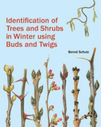 Identification of Trees and Shrubs in Winter Using Buds and Twigs - Bernd Schulz (ISBN: 9781842466506)
