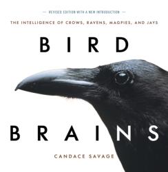 Bird Brains (ISBN: 9781771644259)