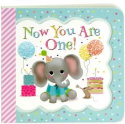 Now You Are One - Minnie Birdsong (ISBN: 9781680522068)