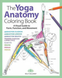 Yoga Anatomy Coloring Book - KELLY SOLLOWAY (ISBN: 9781640210219)
