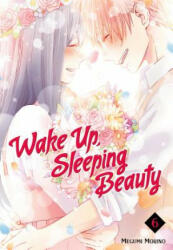 Wake Up, Sleeping Beauty 6 - Megumi Morino (ISBN: 9781632365927)