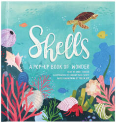 Shells: A Summer Pop-Up Book (ISBN: 9781623485269)