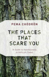 The Places That Scare You: A Guide to Fearlessness in Difficult Times (ISBN: 9781611805963)