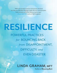 Resilience - Linda Graham (ISBN: 9781608685363)