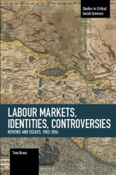 Labour Markets Identities Controversies: Reviews and Essays 1982-2016 (ISBN: 9781608469284)