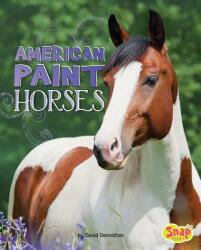 American Paint Horses - David Denniston (ISBN: 9781543500394)