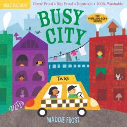 Indestructibles: Busy City - Maddie Frost, Amy Pixton (ISBN: 9781523504688)