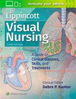 Lippincott Visual Nursing: A Guide to Clinical Diseases Skills and Treatments (ISBN: 9781496381781)