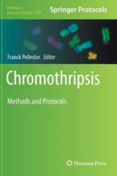 Chromothripsis - Franck Pellestor (ISBN: 9781493977796)