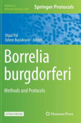 Borrelia burgdorferi - Utpal Pal, Ozlem Buyuktanir (ISBN: 9781493973828)