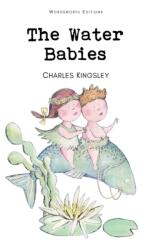 Water Babies (ISBN: 9781853261480)