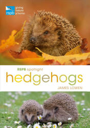 RSPB Spotlight Hedgehogs - James Lowen (ISBN: 9781472950086)