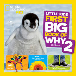 Little Kids First Big Book of Why 2 (ISBN: 9781426329999)