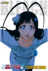 Bleach (3-in-1 Edition), Vol. 22 - Tite Kubo (ISBN: 9781421596044)