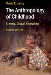 Anthropology of Childhood - David F. Lancy (ISBN: 9781107420984)