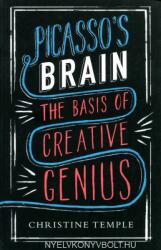 Christine Temple: Picasso's Brain - The basis of creative genius (ISBN: 9781780334288)